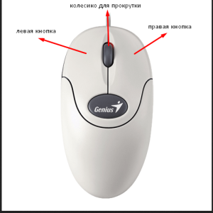 схема кнопок мыши