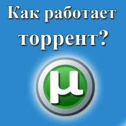 как работает торрент?